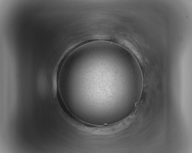 X0000101960011200807251204