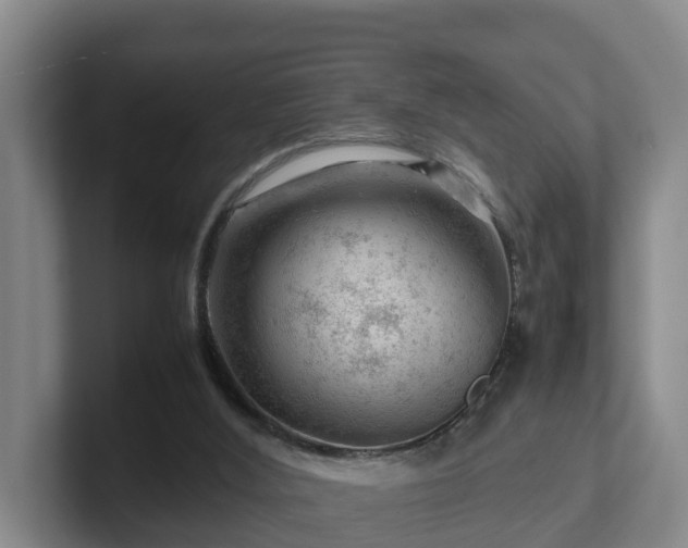 X0000101960012200807251204