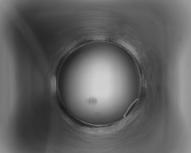 X0000101960013200807251204