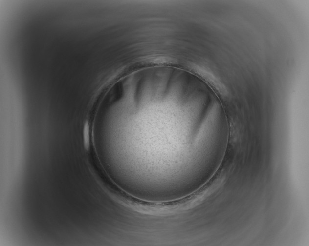 X0000101960014200807251204