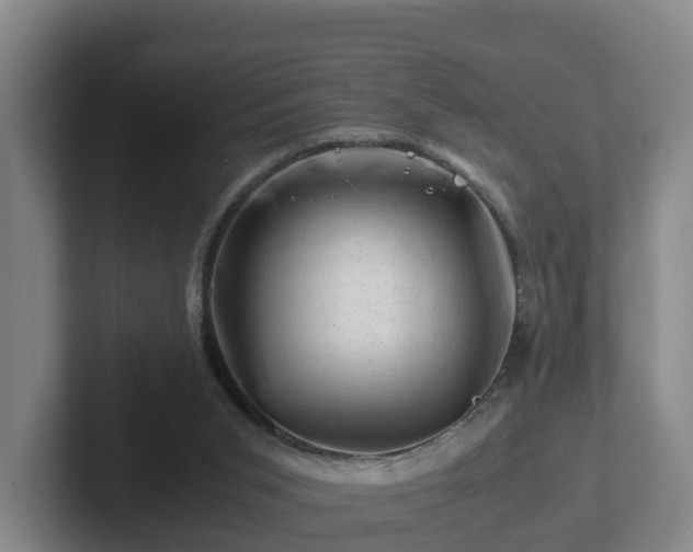 X0000101960015200807251204