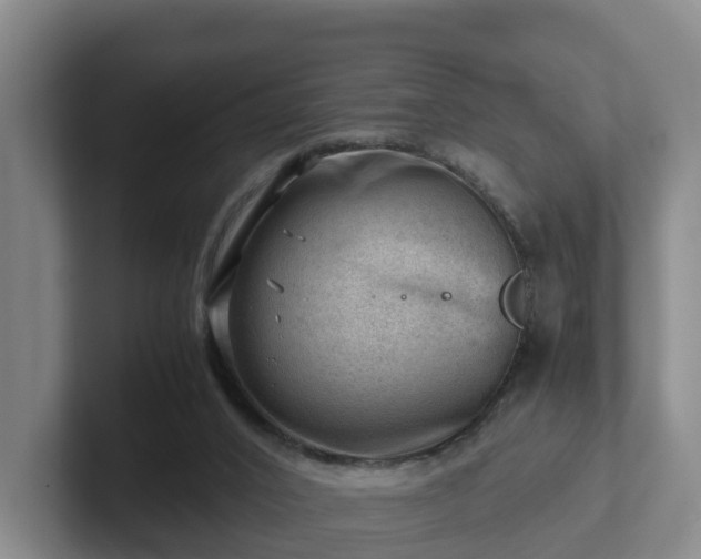 X0000101960016200807251204