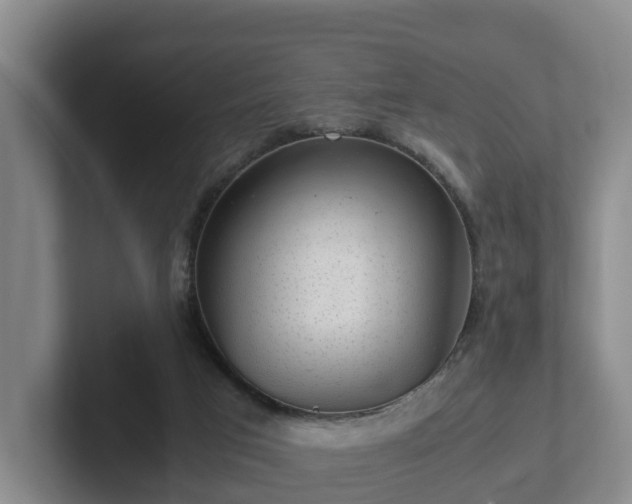 X0000101960017200807251204