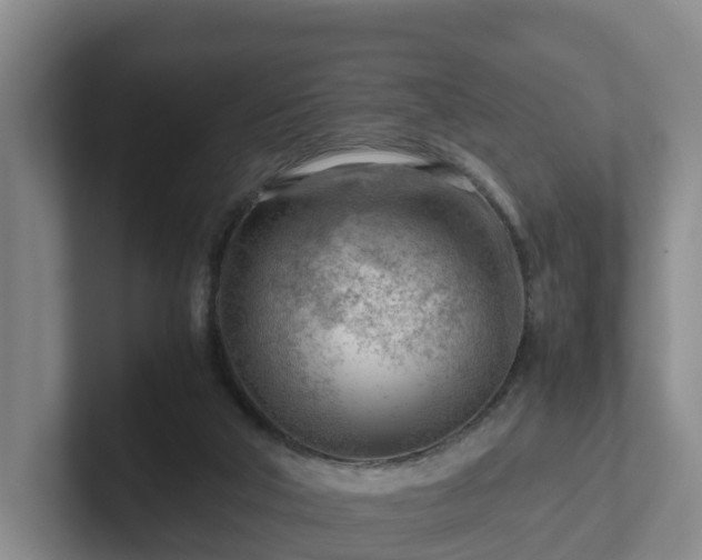 X0000101960018200807251204