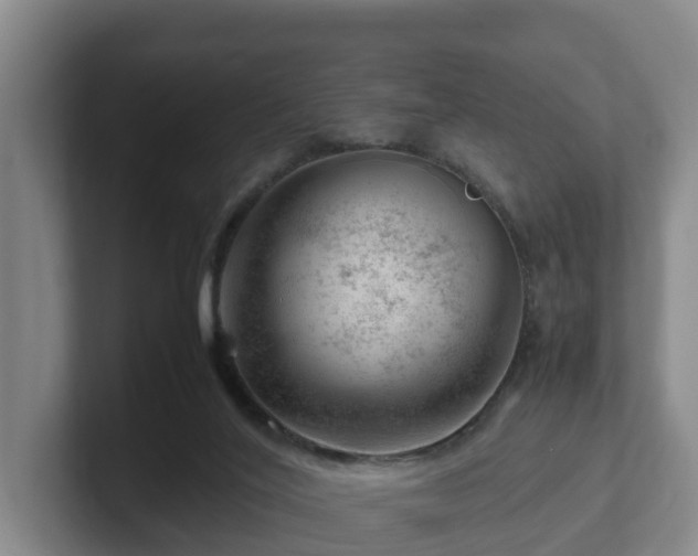 X0000101960020200807251204