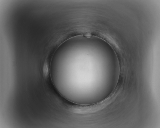 X0000101960021200807251204