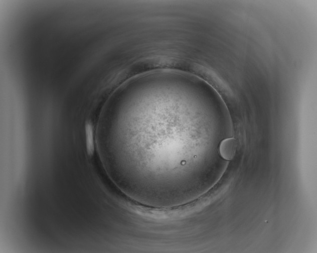 X0000101960022200807251204