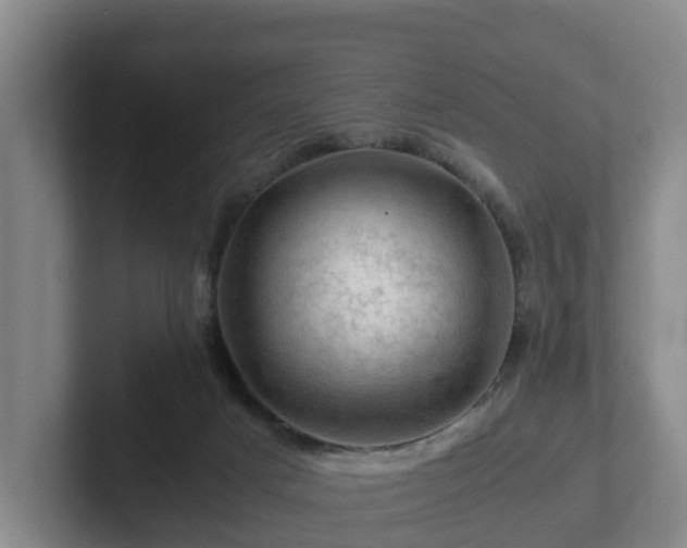 X0000101960025200807251204