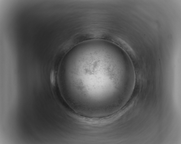 X0000101960026200807251204