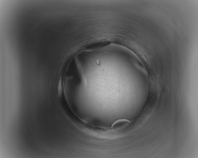 X0000101960028200807251204