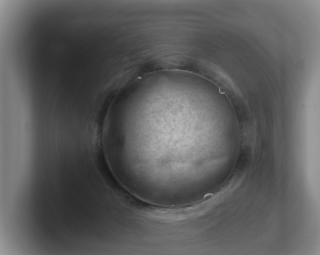 X0000101960029200807251204