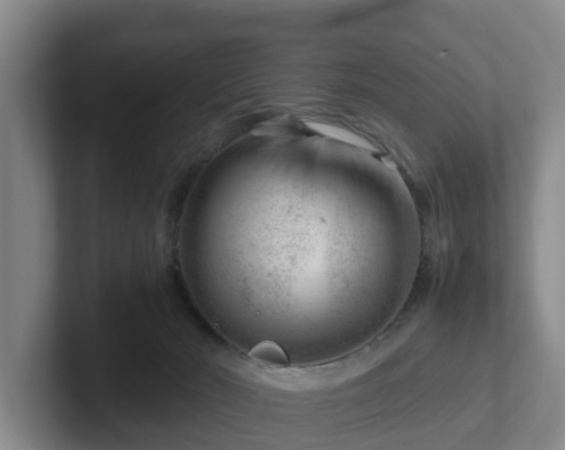 X0000101960030200807251204