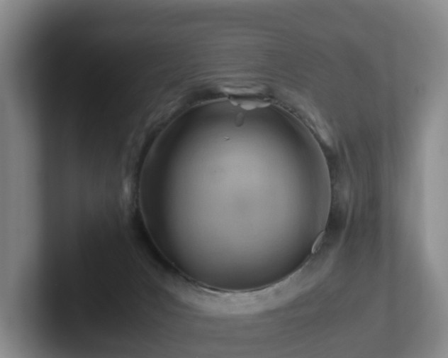 X0000101960031200807251204