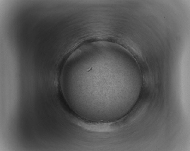 X0000101960032200807251204