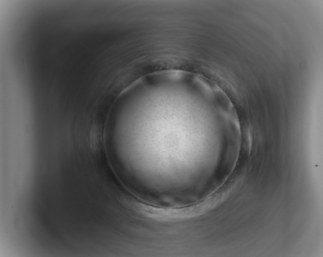 X0000101960034200807251204