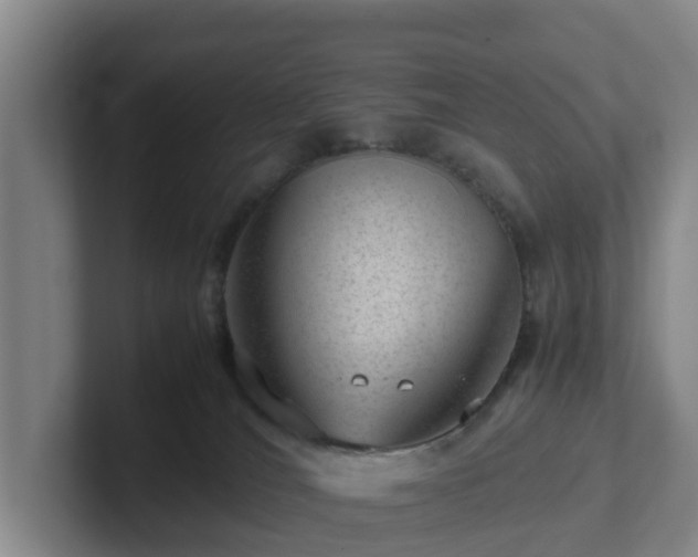 X0000101960036200807251203