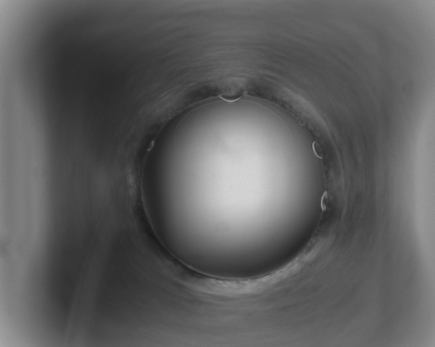 X0000101960037200807251203