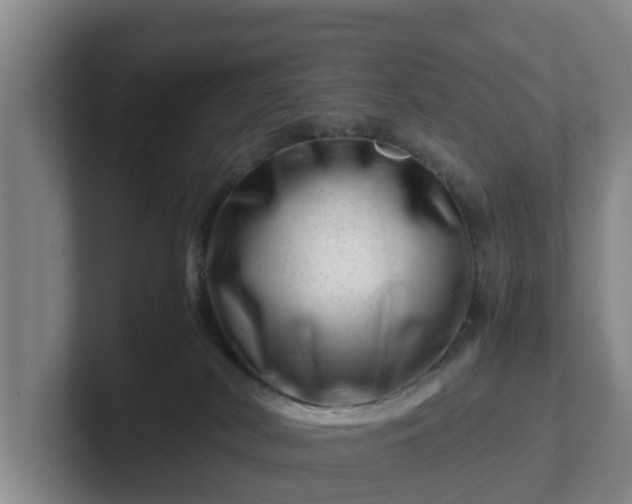 X0000101960038200807251203