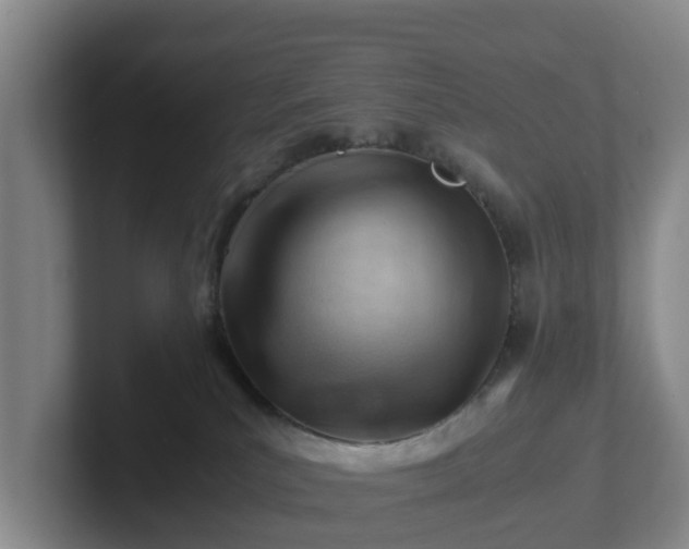 X0000101960039200807251203