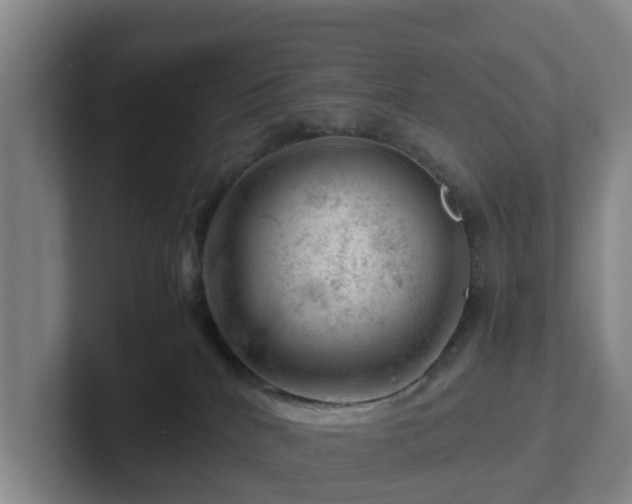 X0000101960040200807251203