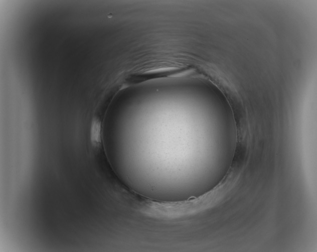 X0000101960041200807251203