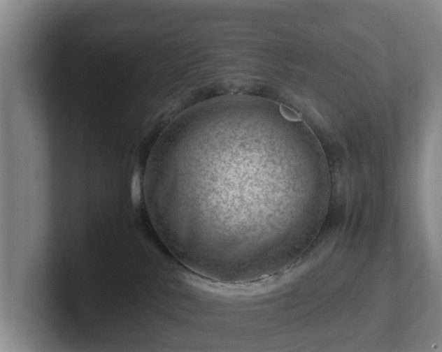 X0000101960042200807251203