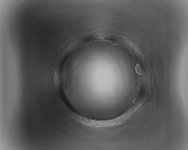 X0000101960043200807251203