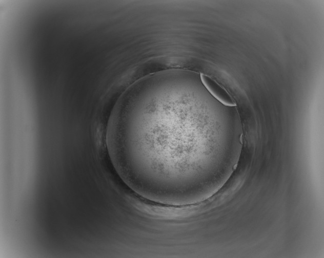 X0000101960044200807251203