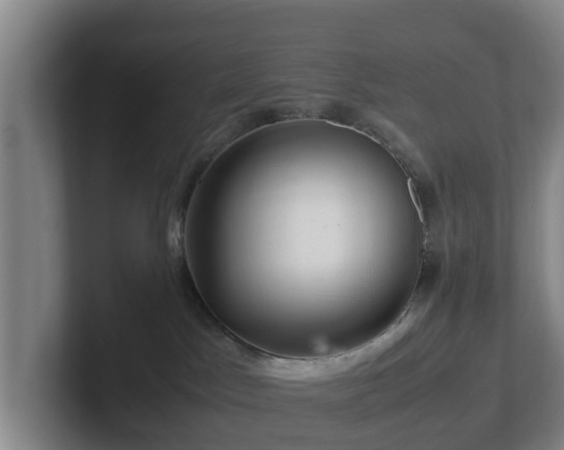 X0000101960045200807251203