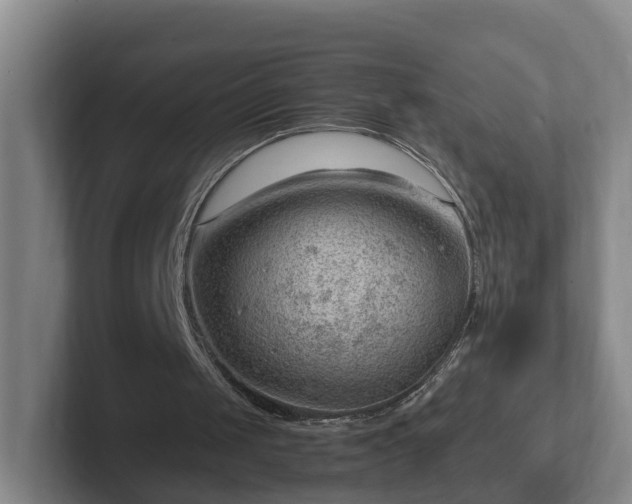 X0000101960049200807251203