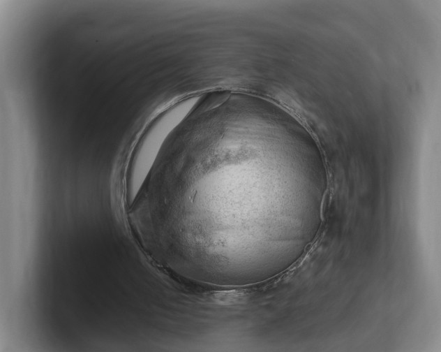 X0000101960050200807251203