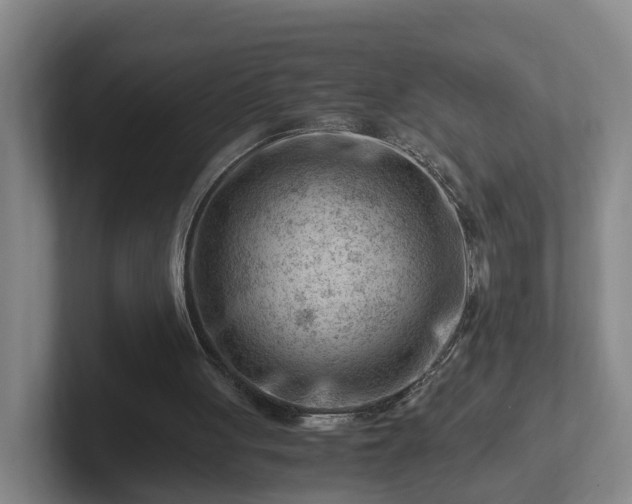 X0000101960051200807251203