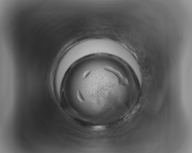 X0000101960053200807251203