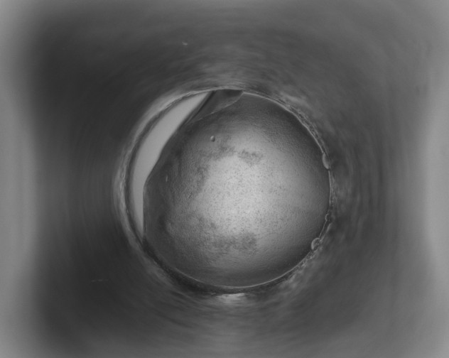 X0000101960054200807251203