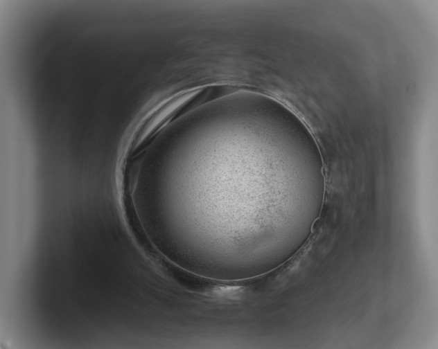 X0000101960055200807251203