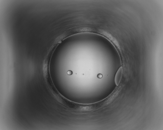 X0000101960057200807251203