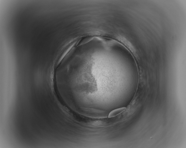 X0000101960058200807251203