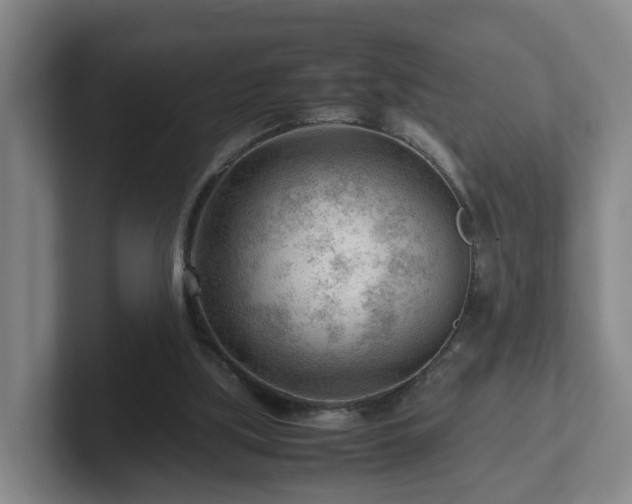 X0000101960059200807251203