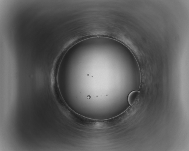 X0000101960060200807251203