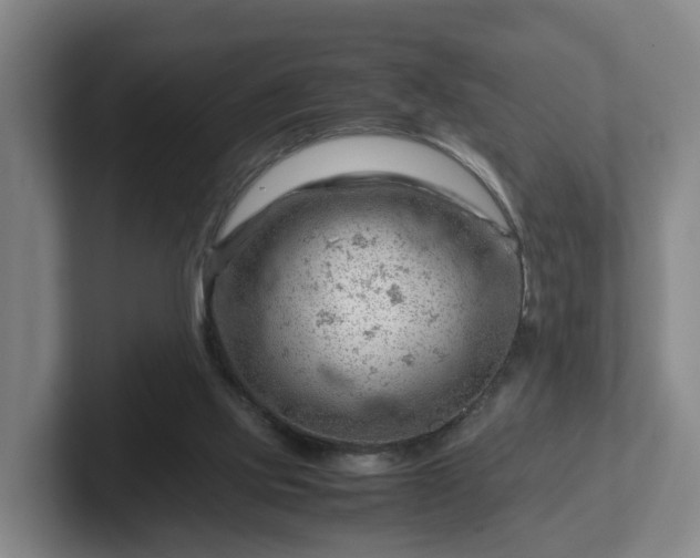 X0000101960061200807251203