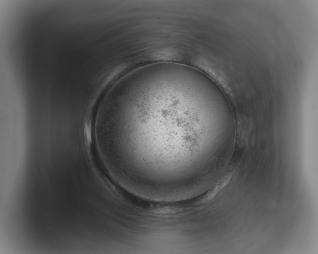 X0000101960062200807251203