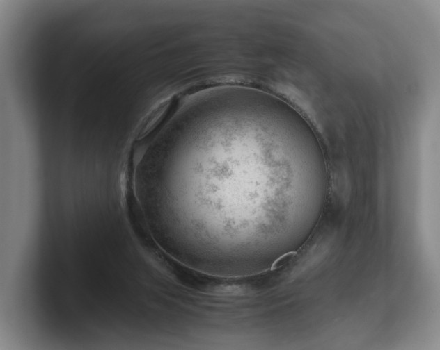 X0000101960063200807251203