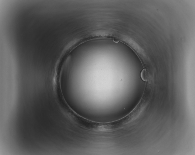 X0000101960064200807251203