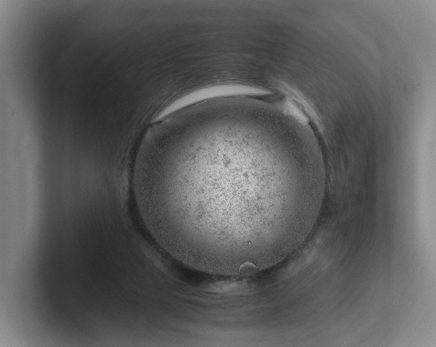 X0000101960065200807251203