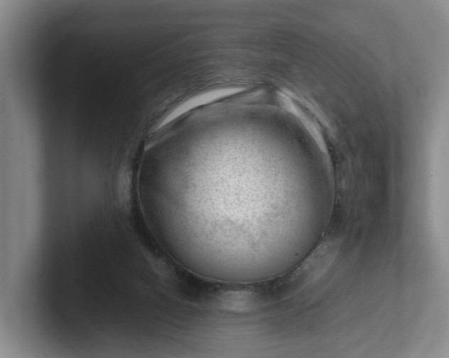 X0000101960066200807251203