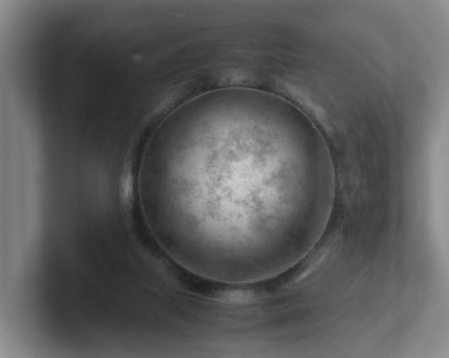 X0000101960067200807251203