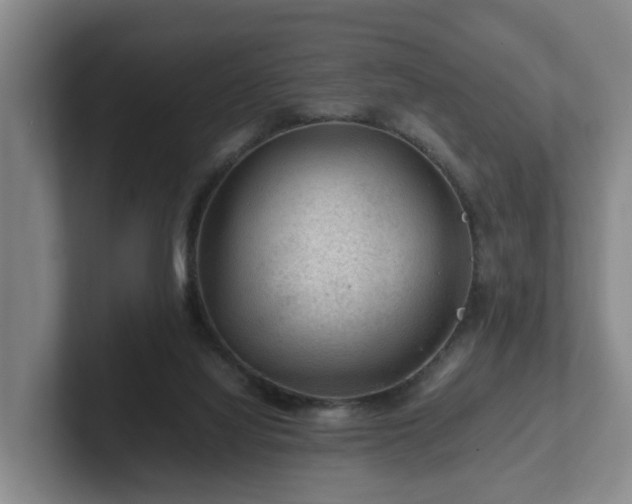 X0000101960068200807251203