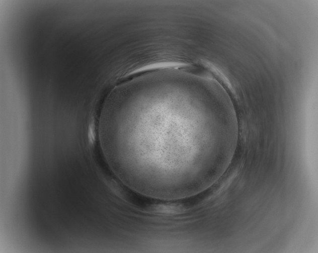 X0000101960069200807251203