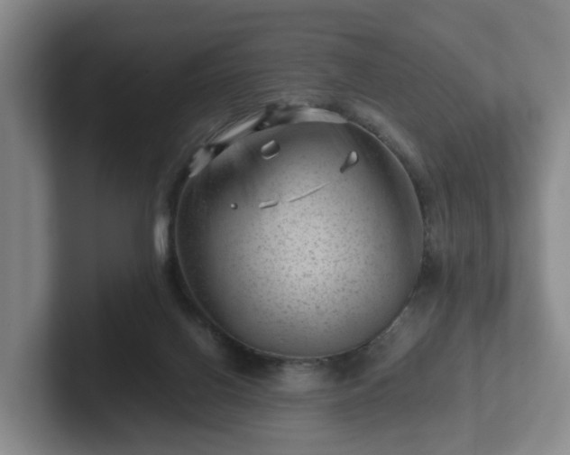 X0000101960070200807251203