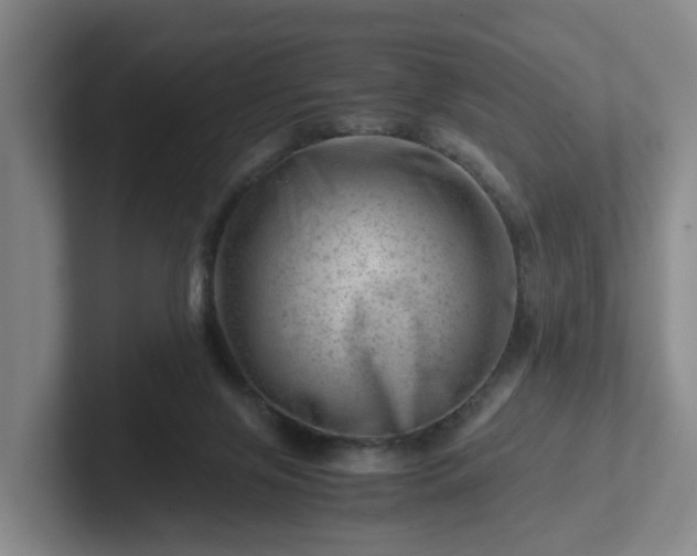 X0000101960071200807251203